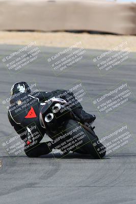 media/Mar-13-2022-SoCal Trackdays (Sun) [[112cf61d7e]]/Turn 10 Backside (105pm)/